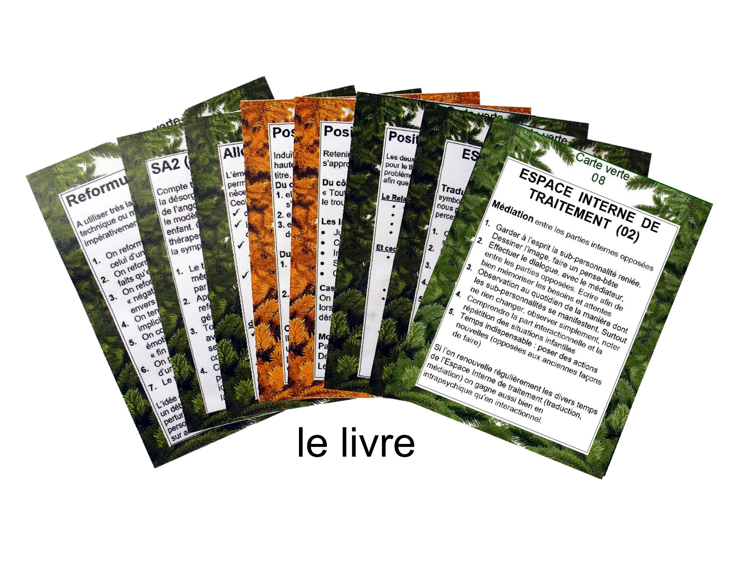 01.Cartes étalées.livre